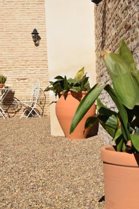Casa De La Abuela Dolores Villaverde del Rio エクステリア 写真